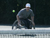 A man in a wheelchair plays tennis